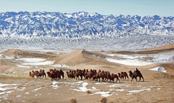 بالصور| 10 صحارى مذهلة في العالم تدعوك لاستكشاف المناظر الطبيعية الصحراوية