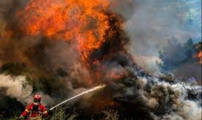 موجة حر قياسية بأوروبا.. مئات الوفيات في إسبانيا والبرتغال وطوارئ ببريطانيا وإجلاء الآلاف وحرائق تدمر الغابات
