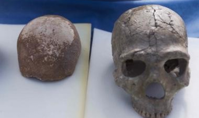 اكتشاف جمجمة للانسان الاول في الجليل يسلط الضوء على فجر التاريخ البشري