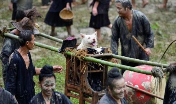 يوم يجلس الكلب على العرش.. قرية صينية تقيم احتفالاً سنوياً بطقوس غريبة