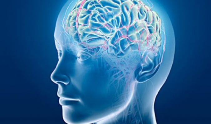 ما هي القدرة التخزينية للدماغ البشري بالغيغابايت ؟