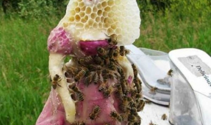 بالصور: مجسمات عجيبة ومميزة من إبداع النحل