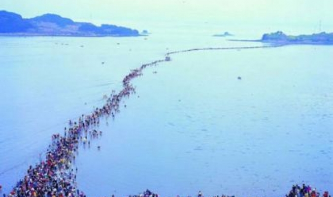 شاهد بالصور ...&quot;معجزة انشقاق البحر بسيدنا موسى تتكرر&quot; فى كوريا