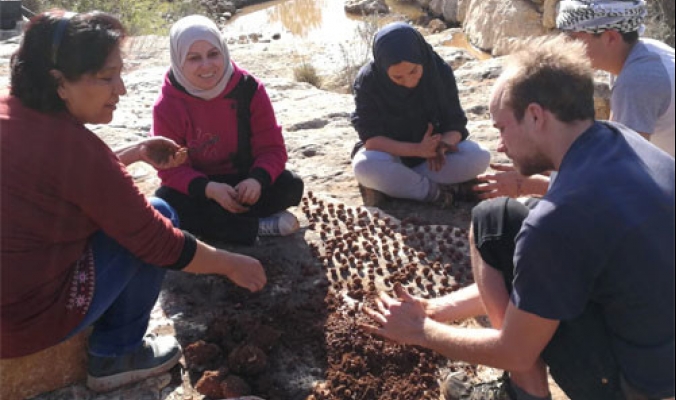 كرات البذور: طريق إلى معالجة المناطق القاحلة في فلسطين
