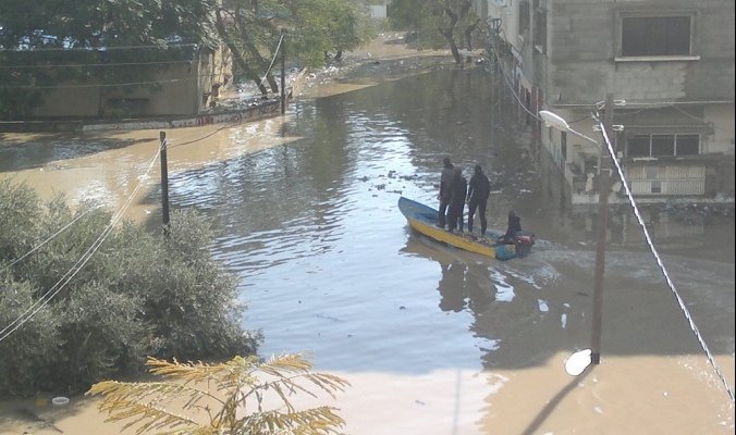 قطاع غزة: تأخر المطر سبب خسائرَ في المحاصيل الحقلية وأنعش الزراعة الصيفية