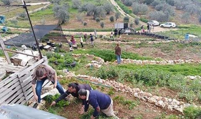 من قلب مزرعة عضوية في رام الله...نشطاء فلسطينيون يطلقون يوم الزراعة البيئية المدعومة شعبيا