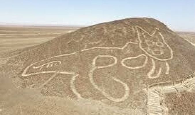 العثور على نقش قط عملاق بين خطوط نازكا في صحراء البيرو