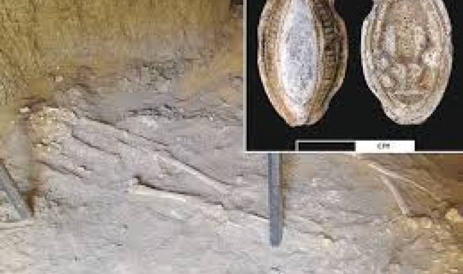 أقدم ورم سرطاني يعود لـ1200 سنة قبل الميلاد