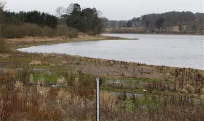 انخفاض هطول الأمطار يهدد بريطانيا بالجفاف