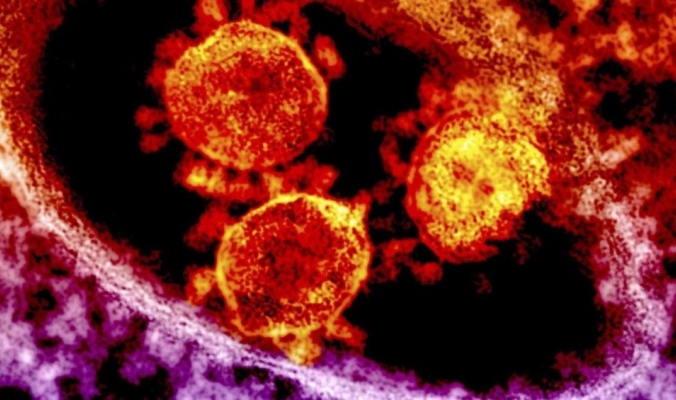 فيروس كورونا المميت قد ينتقل عبر البراز