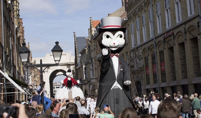 ما سر مهرجان رمي القطط في بلجيكا؟