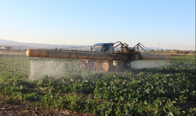 الاستخدام المفرط لمبيدات الأعشاب... مزارعون منقسمون ورقابة غائبة