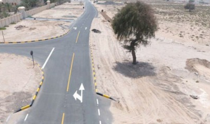 يتجاوز عمرها 200 عام.. الشارقة تغير مسار طريق للحفاظ على شجرة معمرة في الإمارات