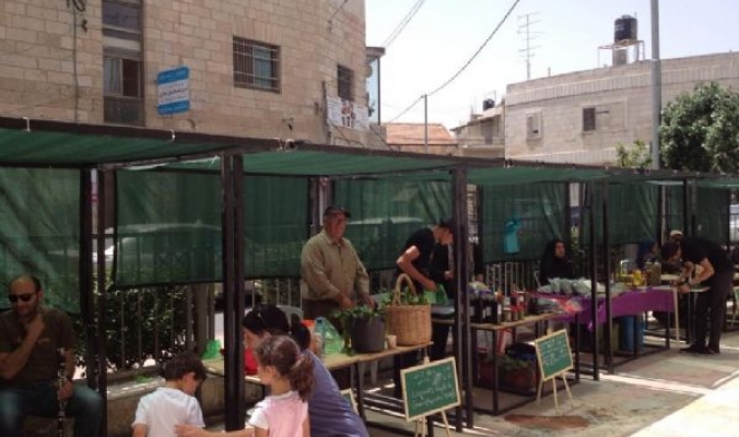 في ظل التبعية الكاملة لاقتصاد الاحتلال: مجموعة شبابية فلسطينية تطوعية تشق بتواضع طريق العودة نحو السيادة على الغذاء