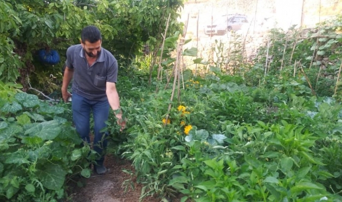 القطاع الزراعي الفلسطيني بين الأهلي والحكومي