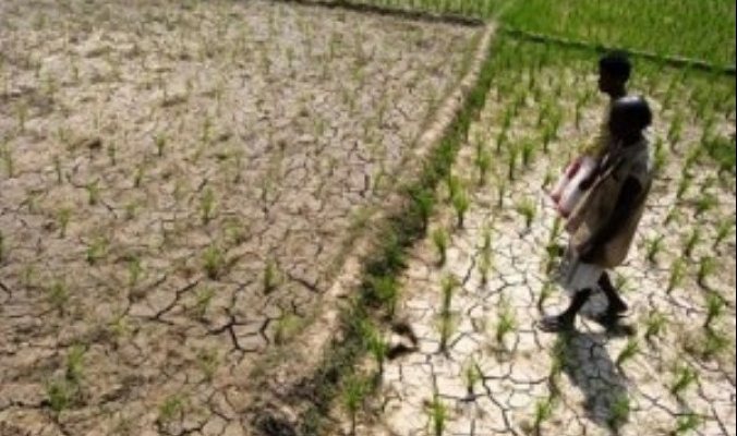 الهند تتخوف من الجفاف بسبب قلة الامطار الموسمية هذا الصيف