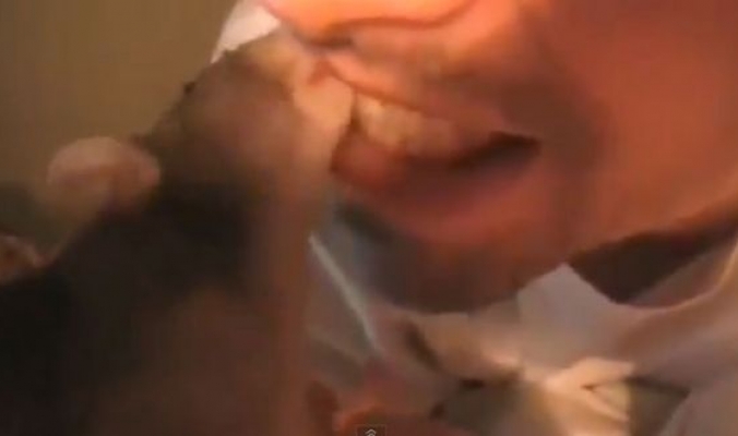 الجنون فنون!! شاهد بالفيديو.. شاب يستبدل الفرشاة بفأر لتنظيف أسنانه!!