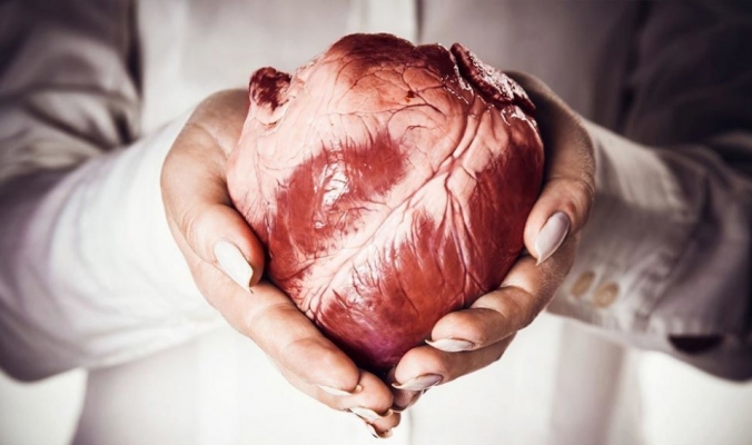 لماذا لا نسمع عن أمراض سرطان القلب، وهل نحن محصنون من سرطان القلب؟