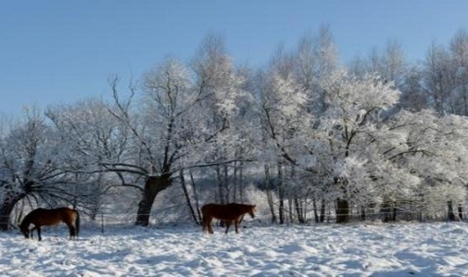 عشر وفيّات خلال يومين بسبب البرد في بولندا
