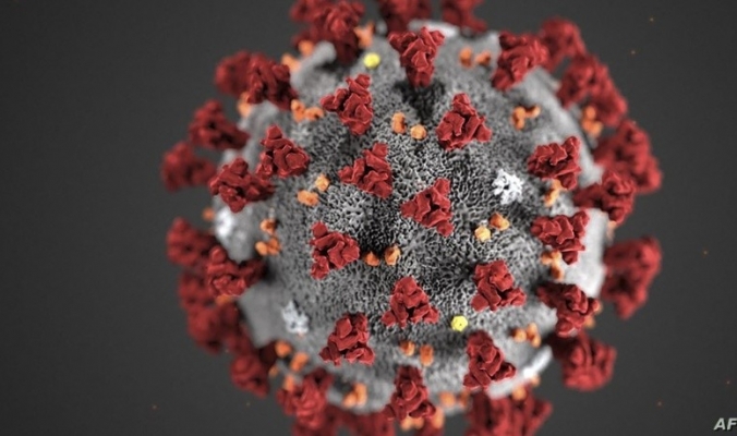 علماء يكشفون عن نقطة ضعف فيروس كورونا