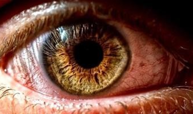 دراسة أمريكية: السيلينوم وفيتامين &quot;هــ&quot; لا يمنعان إعتام عدسة العين
