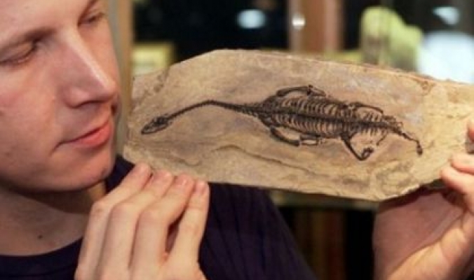 اكتشاف البيبي ديناصور في جنوب انجلترا