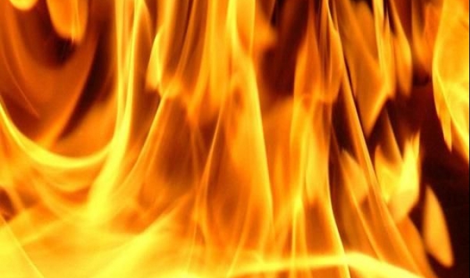 ارشادات وزارة الزراعة للحد من انتشار الحرائق