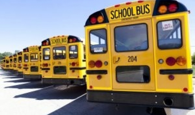 لماذا صممت حافلات النقل المدرسي صفراء ومن دون أحزمة الأمان؟
