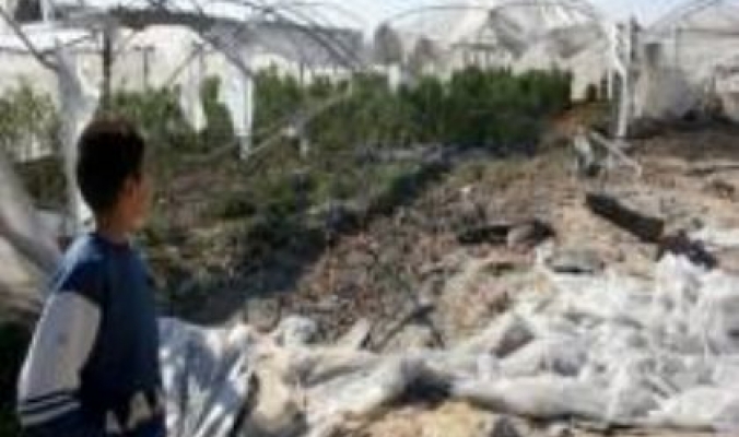 خسائر بالملايين للمزارعين الفلسطينيين بسبب الرياح العاتية الأخيرة