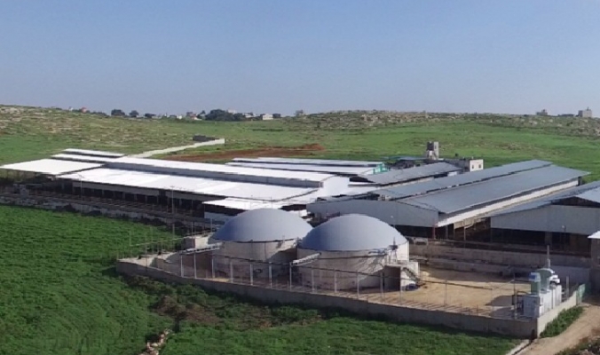 مصنع الجبريني للألبان ينتج الكهرباء من روث الأبقار ويزود بلدة الظاهرية بجزء من احتياجاتها