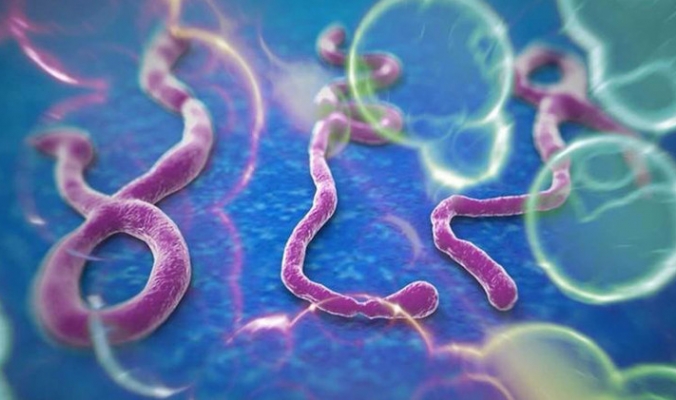هل سينتشر وباء &quot;إيبولا&quot; مثل الإنفلونزا&quot;؟